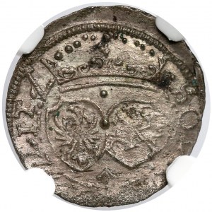 Zygmunt III Waza, Szeląg Wilno 1617 - Bogoria dzieli