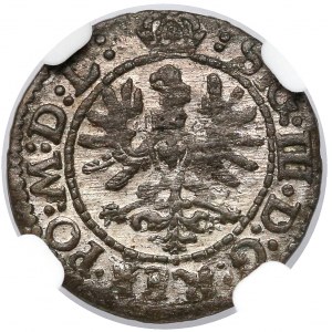 Zygmunt III Waza, Szeląg Wilno 1623 - monogram RL