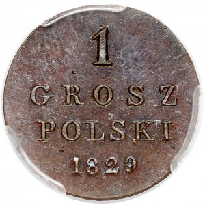 1 polish groat 1829 F.H. - novodel - PCGS MS64 BN