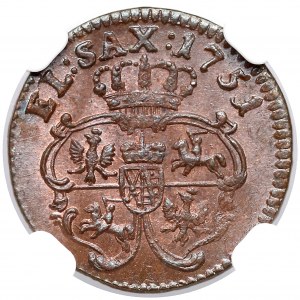 August III Sas, Szeląg 1751 - wyśmienity - NGC MS65 BN