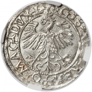 Zygmunt II August, Półgrosz Wilno 1560 - L