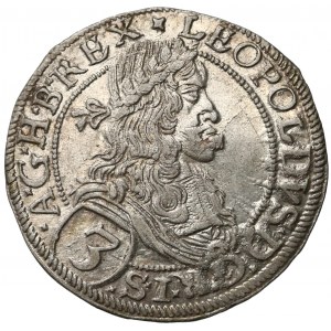 Österreich, Leopold I. (HRR), 3 Kreuzer 1669-✿, Wien