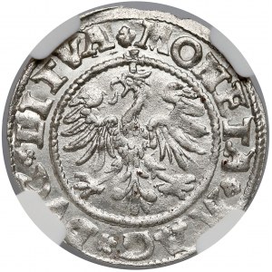 Zygmunt II August, Półgrosz Wilno 1545 - b. rzadki