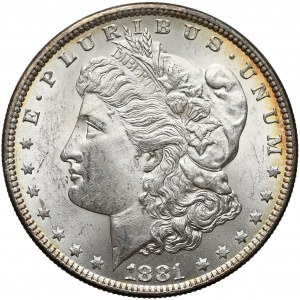 USA, Dollar 1881, Philadelphia - Morgan Dollar