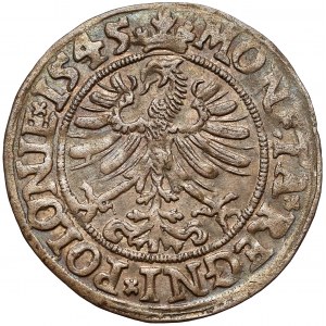 Zygmunt I Stary, Grosz Kraków 1545 - ogon w dół