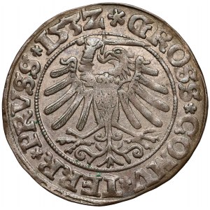 Zygmunt I Stary, Grosz Toruń 1532 - nowa zbroja - PRVS