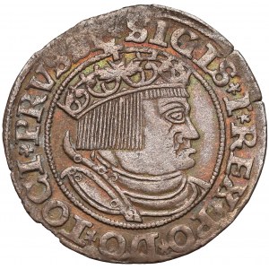 Zygmunt I Stary, Grosz Toruń 1532 - nowa zbroja - PRVSS