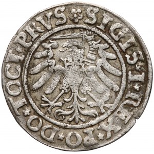 Zygmunt I Stary, Grosz Elbląg 1533 - PRVS