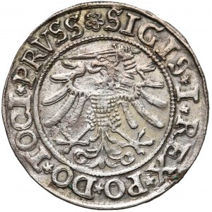 Zygmunt I Stary, Grosz Elbląg 1533 - PRVSS - ładny