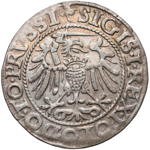 Zygmunt I Stary, Grosz Elbląg 1540 - ostatni 