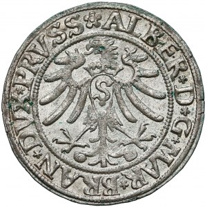 Albert Hohenzollern, Grosz Królewiec 1533 - b. ładny