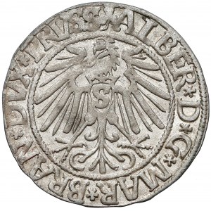 Albert Hohenzollern, Grosz Królewiec 1543