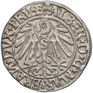 Albert Hohenzollern, Grosz Królewiec 1544