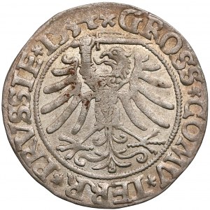 Zygmunt I Stary, Grosz Toruń 1534 - z włosami - PRVSS