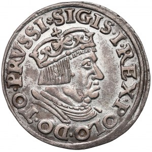 Zygmunt I Stary, Trojak Gdańsk 1537 - ładny