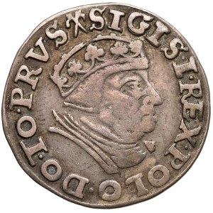 Zygmunt I Stary, Trojak Gdańsk 1539 - bez krzyża