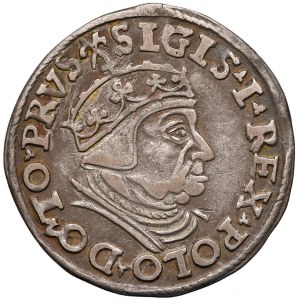 Zygmunt I Stary, Trojak Gdańsk 1539 - trójlistki na Aw.