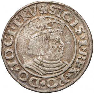 Zygmunt I Stary, Grosz Gdańsk 1530 - pierwszy rocznik - rzadki