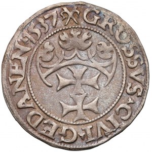 Zygmunt I Stary, Grosz Gdańsk 1537 - w czepcu - rzadszy rocznik