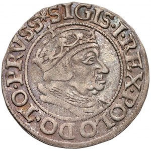 Zygmunt I Stary, Grosz Gdańsk 1538 - POLO DO