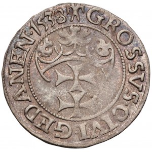 Zygmunt I Stary, Grosz Gdańsk 1538 - POLO DO