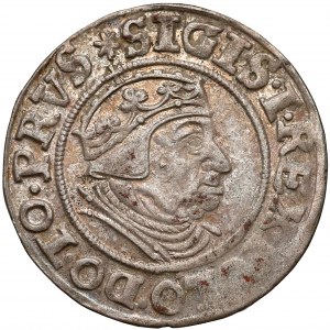 Zygmunt I Stary, Grosz Gdańsk 1539 - kropki