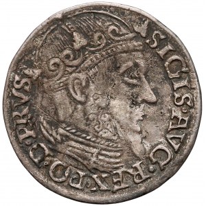 Zygmunt II August, Trojak Gdańsk 1557 - lilijki pod datą - rzadki