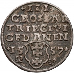 Zygmunt II August, Trojak Gdańsk 1557 - lilijki pod datą - rzadki