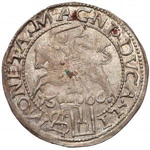Zygmunt II August, Grosz na stopę polską 1566, Tykocin