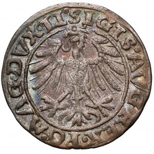 Zygmunt II August, Półgrosz Wilno 1557 - Behm - rzadki