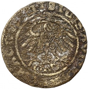 Zygmunt II August, FALSYFIKAT z epoki Półgrosza 1563