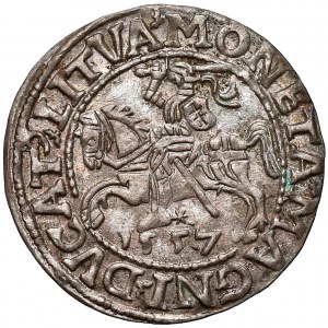 Zygmunt II August, Półgrosz Wilno 1557 - ładny