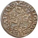 Zygmunt II August, Półgrosz Wilno 1557 - koniczyna, bez 9 - b. rzadki