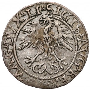 Zygmunt II August, Półgrosz Wilno 1562 - LI / LITV