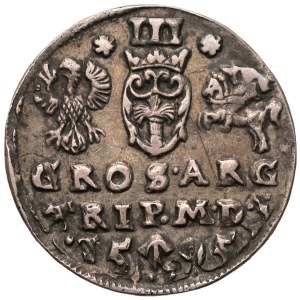 Zygmunt III Waza, Trojak Wilno 1595 - przebity