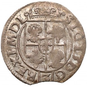 Zygmunt III Waza, Półtorak 1616 Bydgoszcz - Awdaniec