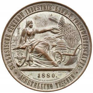 Cieszyn, Medal Wystawa Rolniczo-Przemysłowa 1880