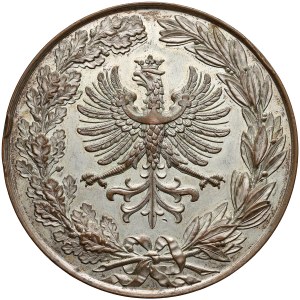 Cieszyn, Medal Wystawa Rolniczo-Przemysłowa 1880