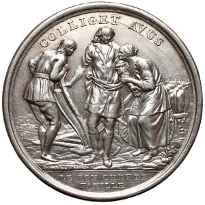 France, Louis XVI, Medal La Bonne Mere / Colliget Avus