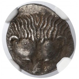 Tauric Chersonese, Patikapaion, Diobol (450-437 BC)