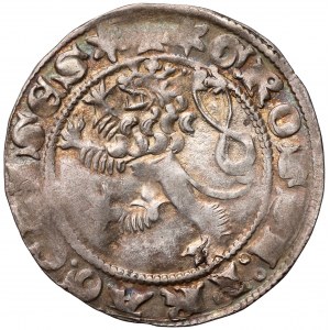 Czechy, Jan I Luksemburski (1310-1346), Grosz praski - dwukropki