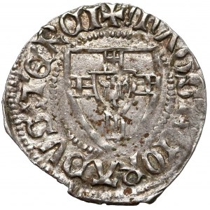 Konrad III von Jungingen, Szeląg - hybryda - rzadki i ładny