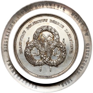 Medal Towarzystwo Rolnicze w Królestwie Polskim 1858 - PIĘKNY 
