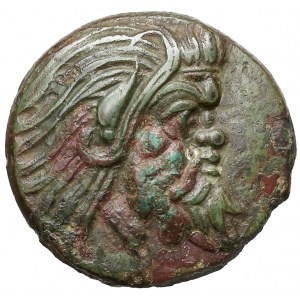 Grecja, Pantikapajon, AE21 (345-310pne)
