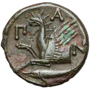 Grecja, Pantikapajon, AE21 (345-310pne)