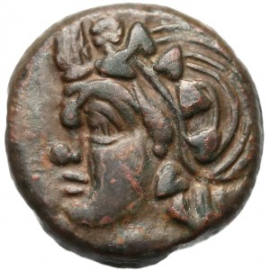 Grecja, Pantikapajon, AE19 (294-284pne)