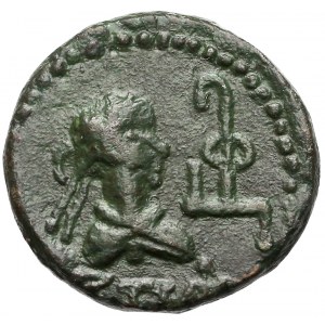 Bosporan Kingdom, Thothores & Diocletian (286-308 AD), Stater