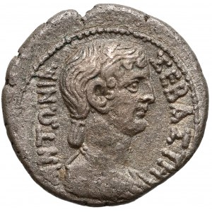 Egipt, Aleksandria, Klaudiusz z Antonią (41-54), Tetradrachma