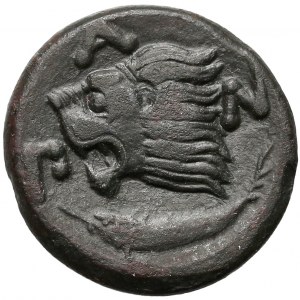 Grecja, Pantikapajon, AE20 (294-284pne)