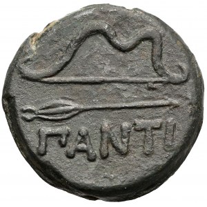 Tauric Chersonese, Patikapaion, AE25 (314-310 BC)